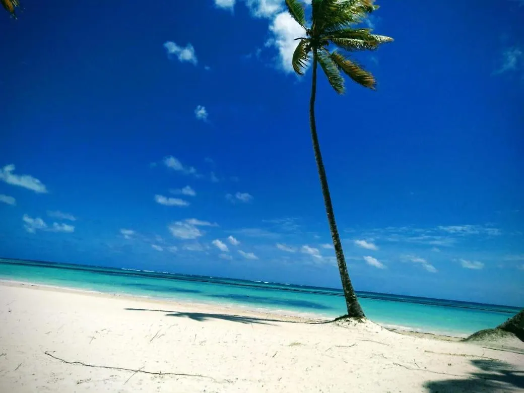 Lägenhet Cap Cana Cap Blue Green Punta Cana Dominikanska republiken